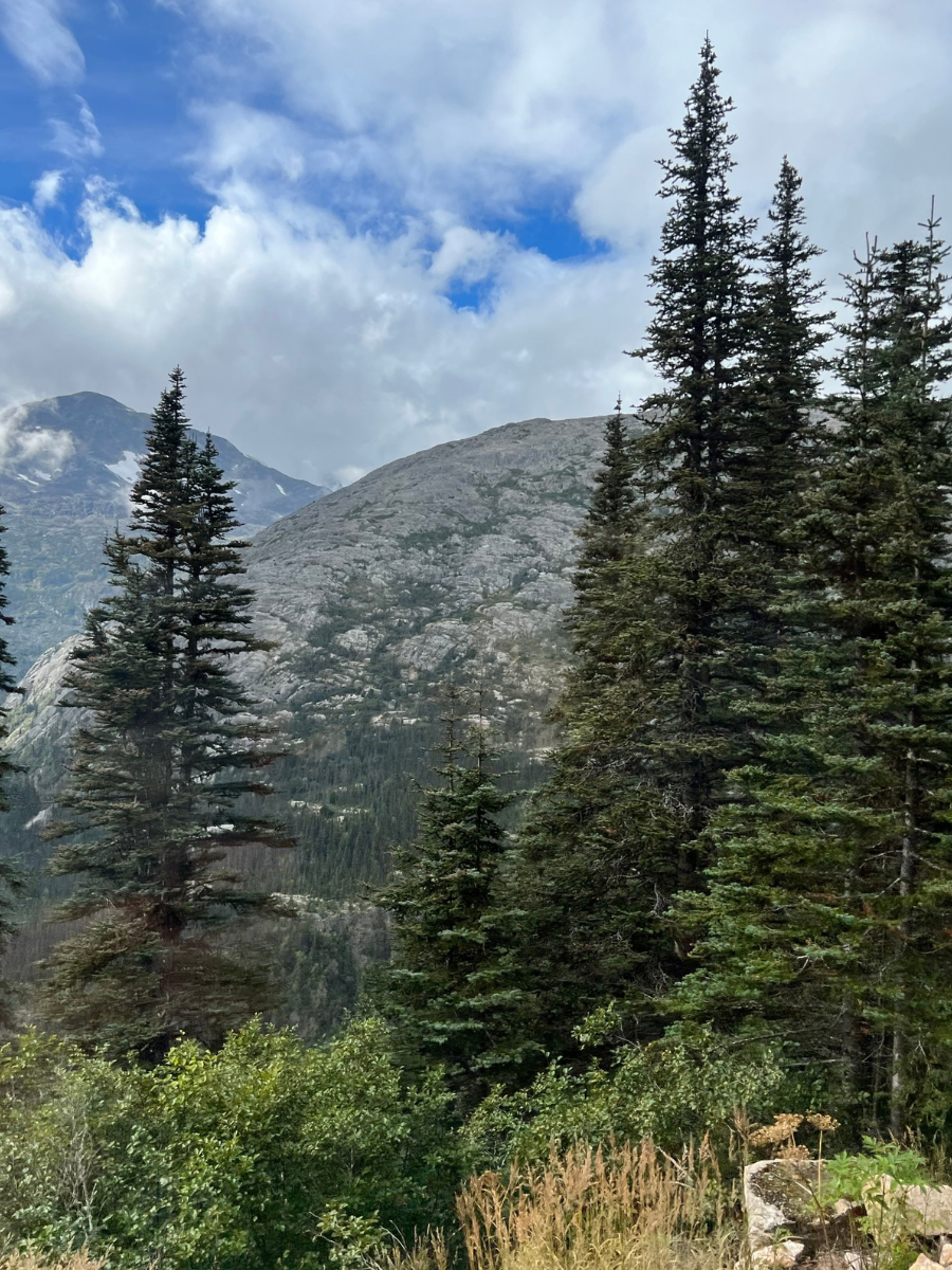 Canada Alaska cruise mountains