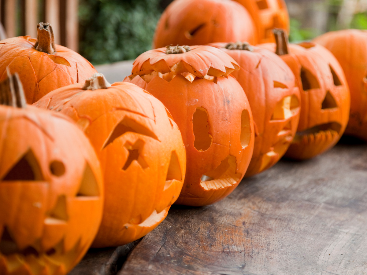 carved pumpkins trick or treat alternative