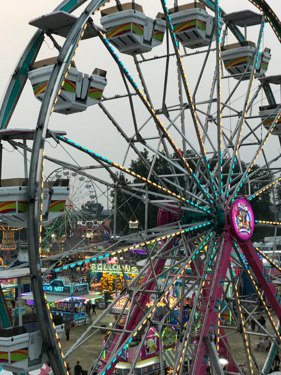 Things to do at the fair. ride the Ferris wheel.